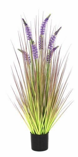 TRAWA PIONOWA LAVENDER 90 CM