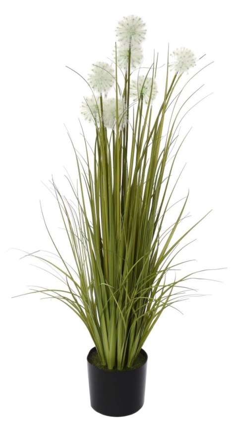 TRAWA PIONOWA SPRING FLOWER 120 CM