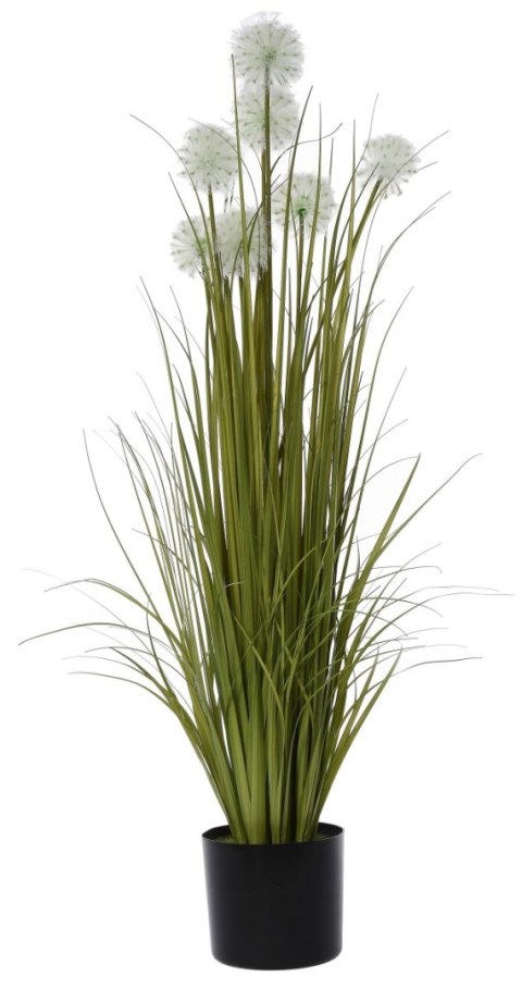 TRAWA PIONOWA SPRING FLOWER 120 CM