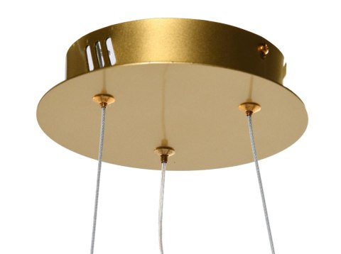 LAMPA WISZĄCA RING FLORES 60X150 CM